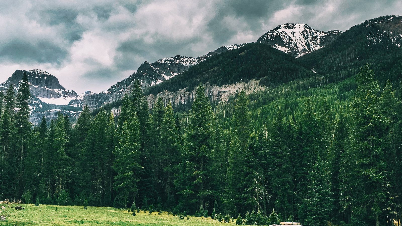 Montana landscape