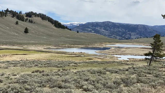 Sagebrush valley with ponds and distant mountains in Montana