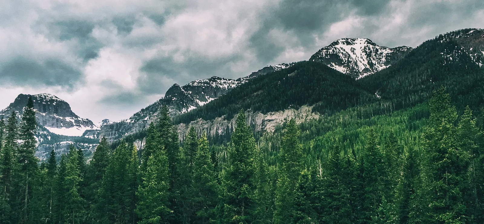 Evergreen forest below snow-dusted Montana peaks under an overcast sky